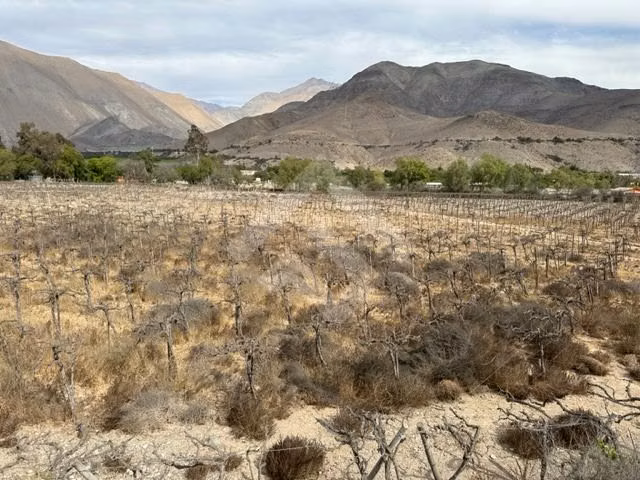 Sitio en venta en Vicuña - Imagen 2