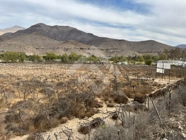Sitio en venta en Vicuña - Imagen 6