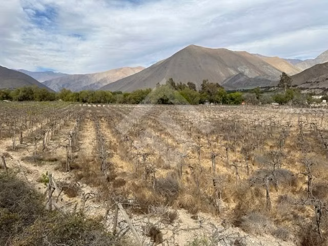 Parcela en venta en Vicuña - Imagen 3