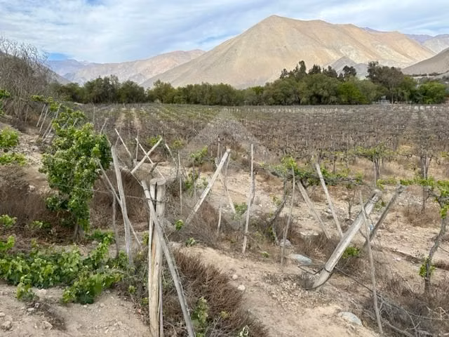 Parcela en venta en Vicuña - Imagen 5