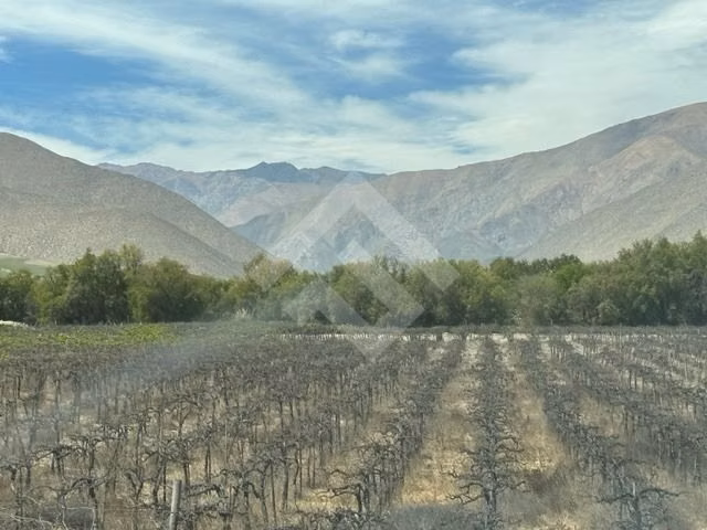 Parcela en venta en Vicuña