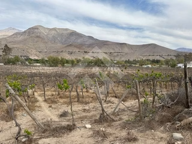 Parcela en venta en Vicuña - Imagen 4