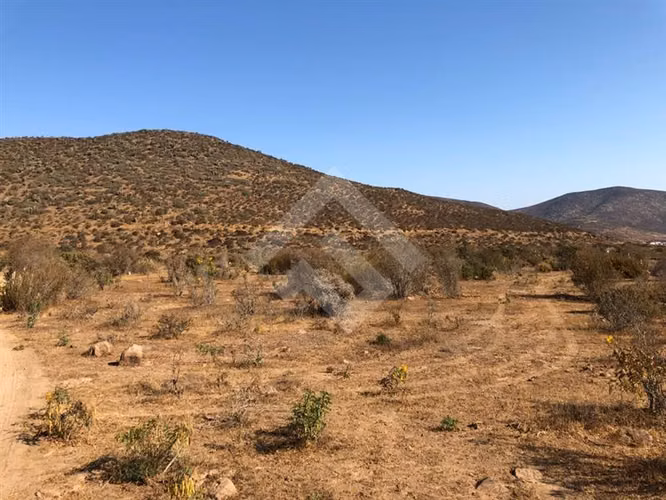Parcela en venta en Andacollo
