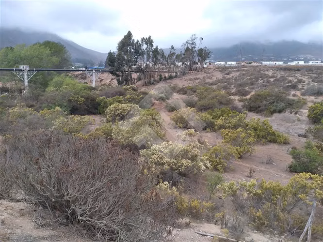 Sitio en Venta en La Serena - Imagen 5