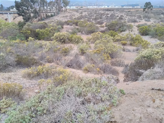 Sitio en Venta en La Serena - Imagen 3