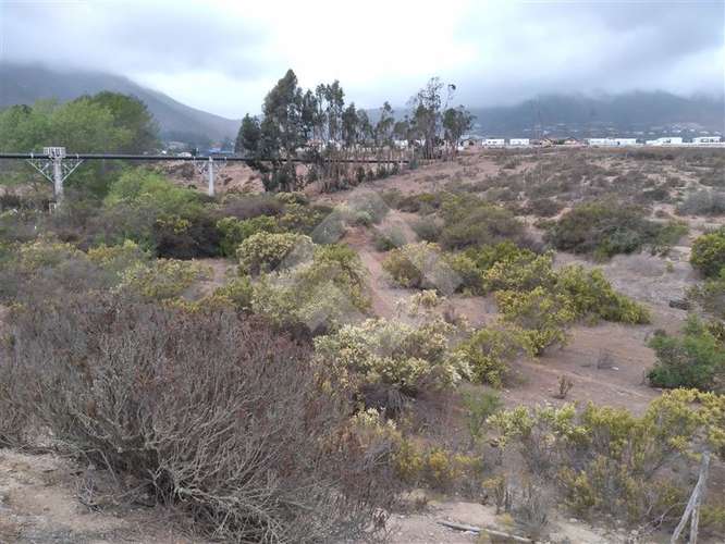 Terreno Construccion  en Venta en La Serena - Imagen 2