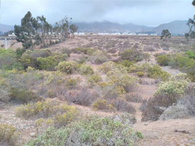 Terreno Construccion  en Venta en La Serena - Imagen 3