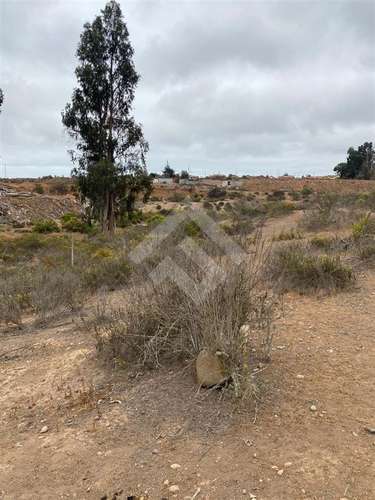 Terreno Construccion  en Venta en La Serena - Imagen 6