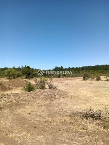 Parcela en venta en Parral sector Machicura - Imagen 5