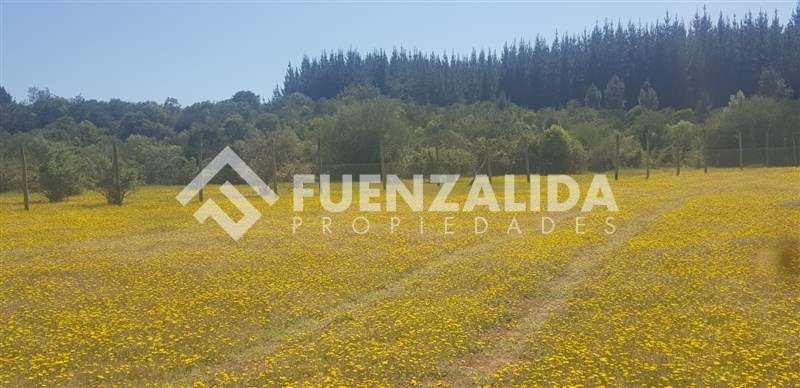 Parcela en venta en Parral sector Machicura - Imagen 3