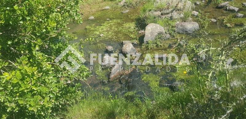 Parcela en venta en Parral sector Machicura - Imagen 5