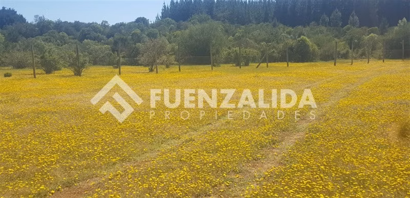 Parcela en venta en Parral sector Machicura