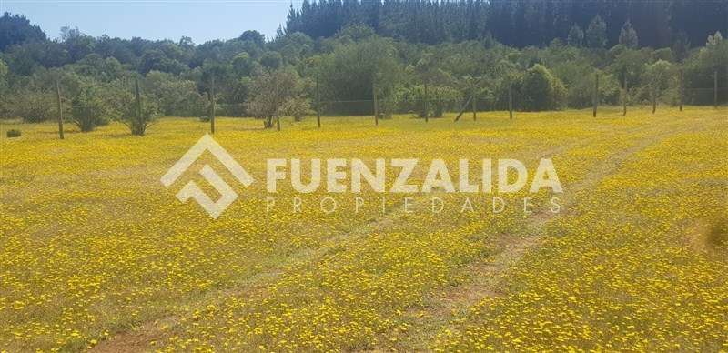 Parcela en venta en Parral sector Machicura - Imagen 3