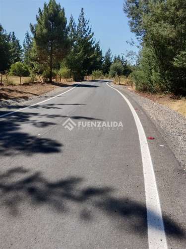 Parcela en venta en Parral sector Machicura - Imagen 8