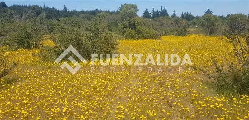 Parcela en venta en Parral sector Machicura