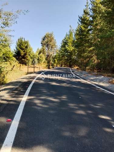 Parcela en venta en Parral sector Machicura - Imagen 7