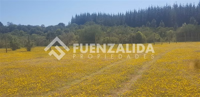 Parcela en venta en Parral sector Machicura