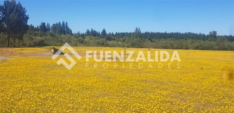 Parcela en venta en Parral