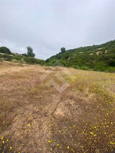 Sitio en venta en Litueche