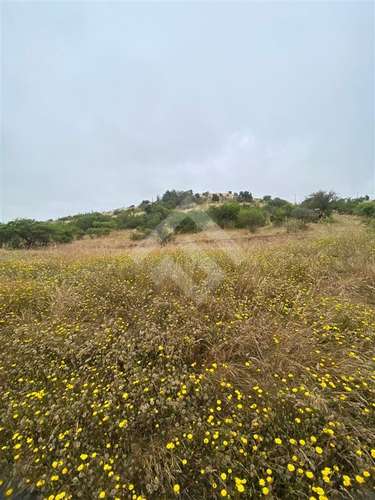 Sitio en venta en Litueche