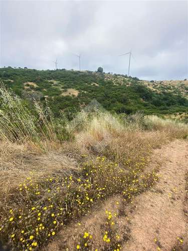 Sitio en venta en Litueche