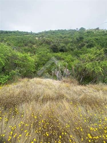 Sitio en venta en Litueche