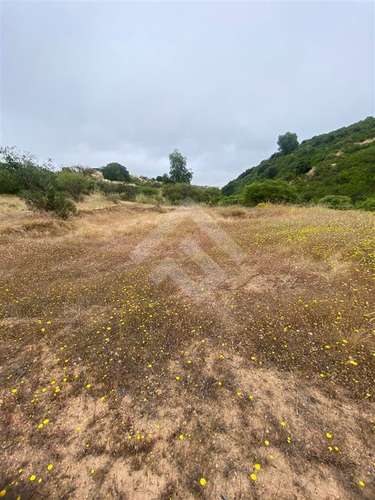 Sitio en venta en Litueche