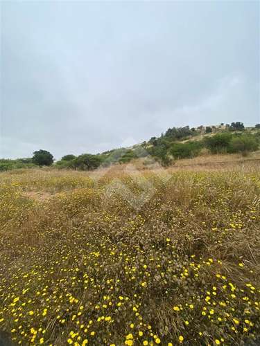 Sitio en venta en Litueche