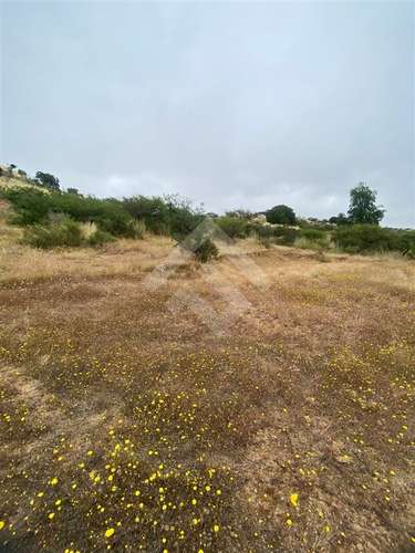 Sitio en venta en Litueche