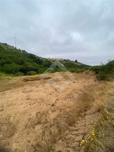 Sitio en venta en Litueche