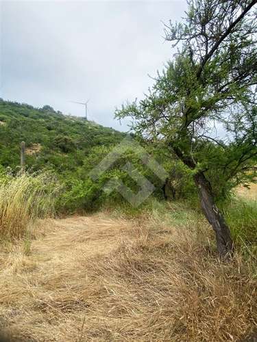 Sitio en venta en Litueche