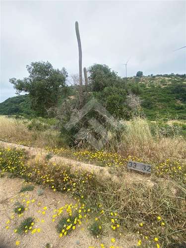 Sitio en venta en Litueche