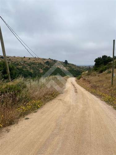 Sitio en venta en Litueche