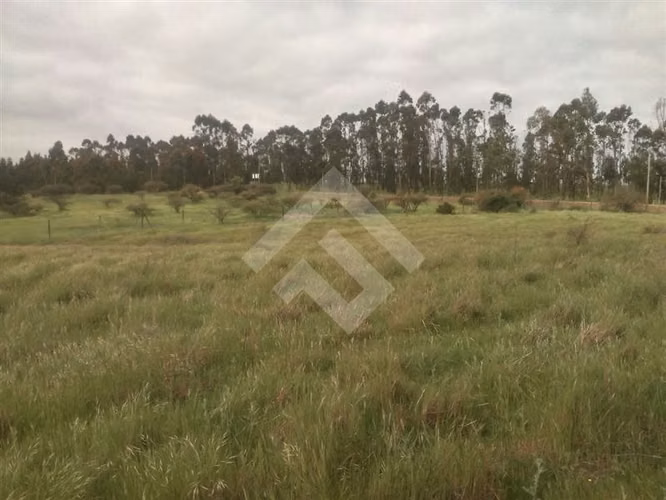 Parcela en venta en Litueche - Imagen 2