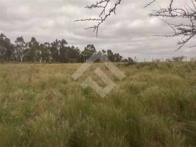 Parcela en venta en Litueche - Imagen 4
