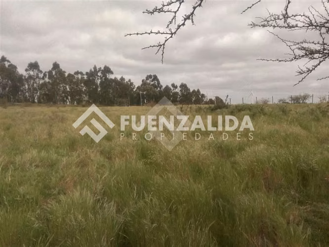 Parcela en venta en Litueche - Imagen 8