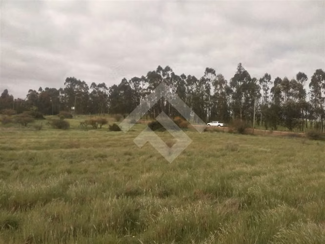 Parcela en venta en Litueche - Imagen 5