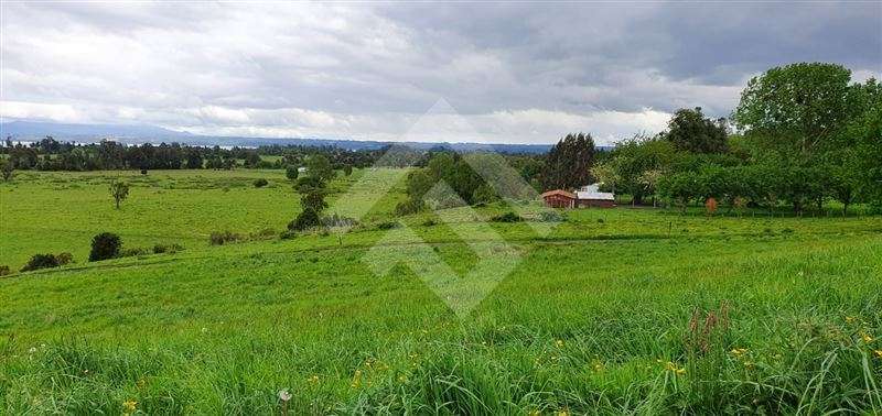 Parcela en venta en Río Bueno - Imagen 2