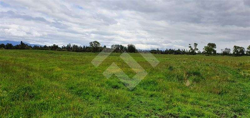 Parcela en venta en Río Bueno - Imagen 5
