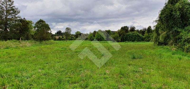 Parcela en venta en Río Bueno - Imagen 6