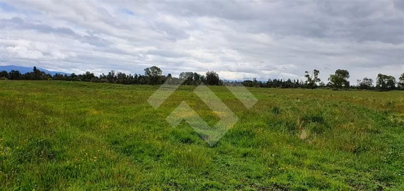 Parcela en venta en Río Bueno
