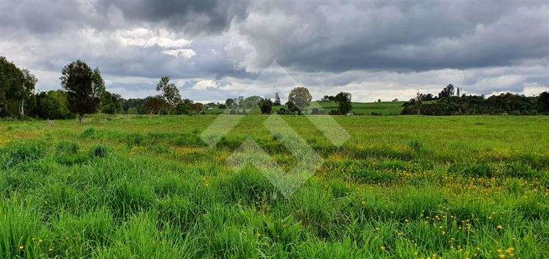 Parcela en venta en Río Bueno - Imagen 7