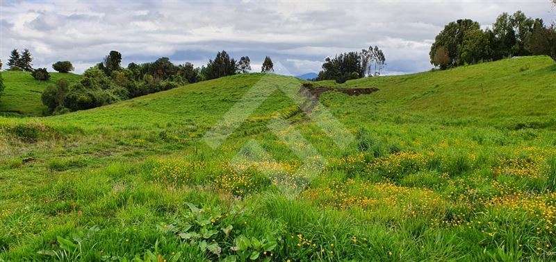 Parcela en venta en Río Bueno - Imagen 11