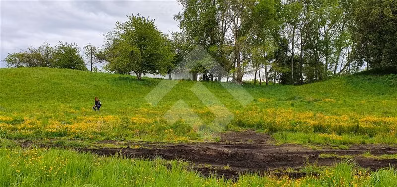 Parcela en venta en Río Bueno