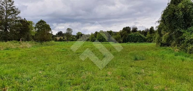 Parcela en venta en Río Bueno