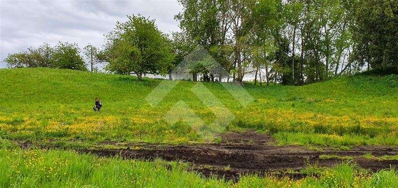 Parcela en venta en Río Bueno - Imagen 13
