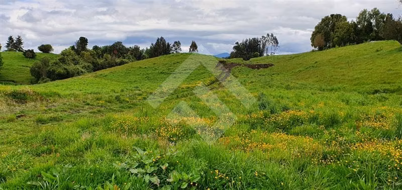 Parcela en venta en Río Bueno