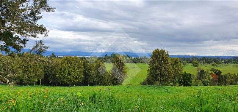 Parcela en venta en Río Bueno - Imagen 9