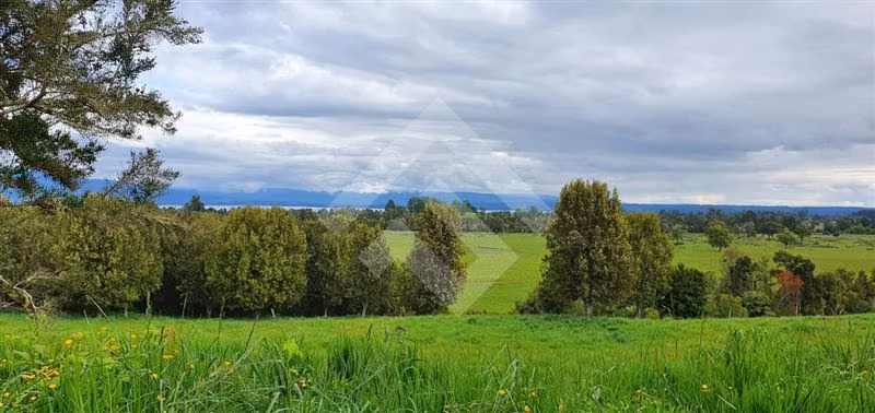 Parcela en venta en Río Bueno