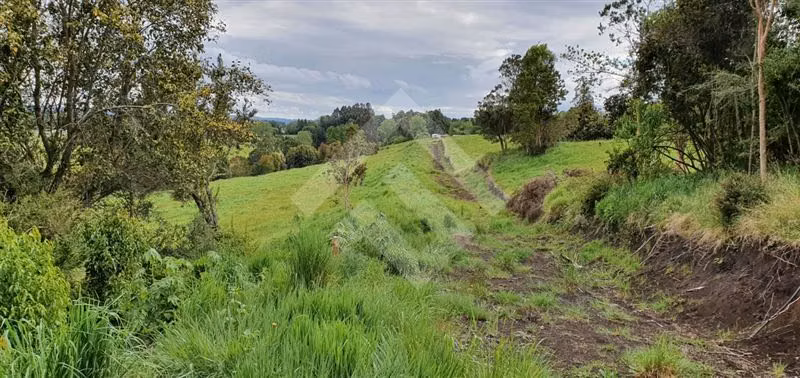 Parcela en venta en Río Bueno